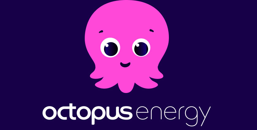 octopus energy discount