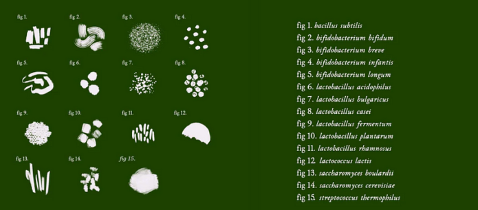 beneficial microbes