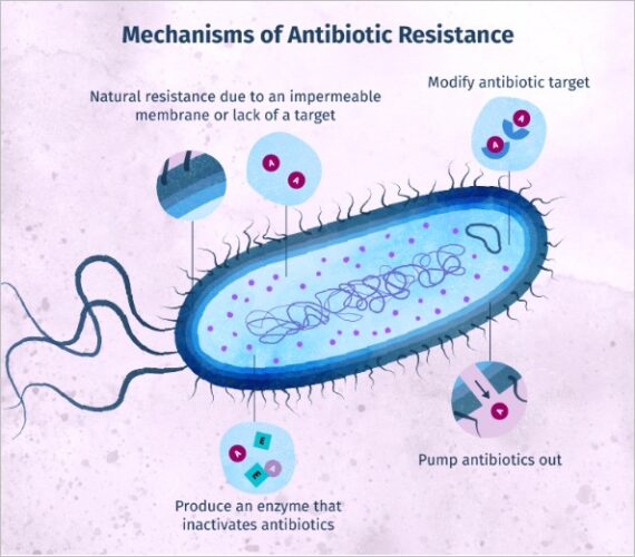 antimicrobial resistance