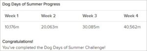 dog days of summer 2024 rowing challenge