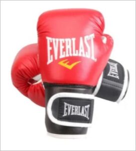 everlast sandbag boxing gloves